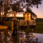 Forrest Дом отдыха