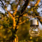 Дом отдыха Forrest