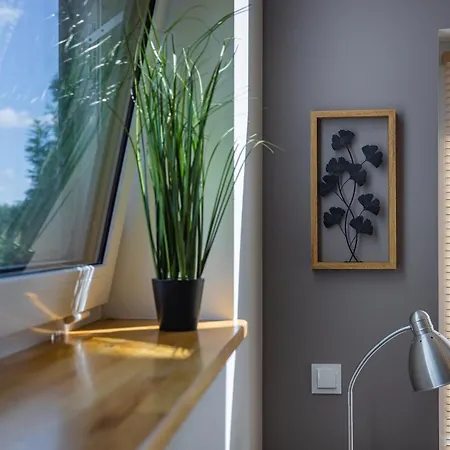 Forrest Casa vacanze *