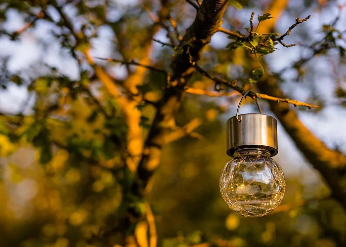 בית נופש Forrest