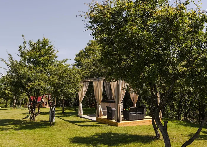 בית נופש Forrest Bartosze